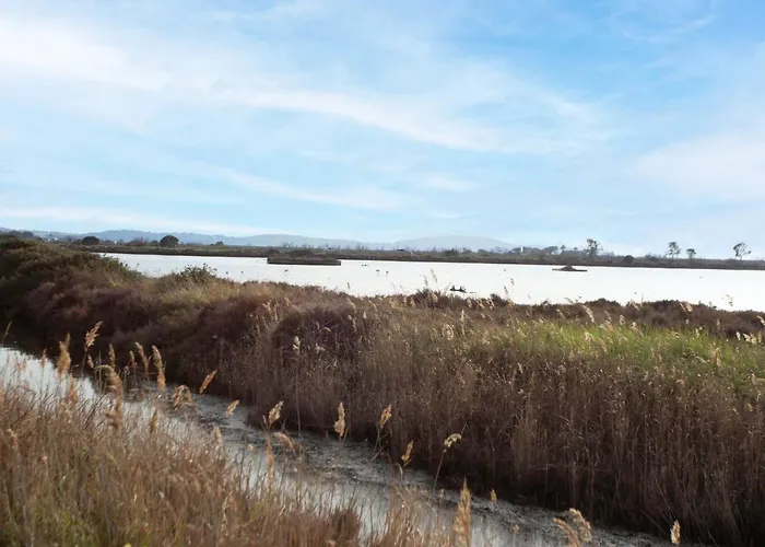 Cantegril By Interhome Hyeres